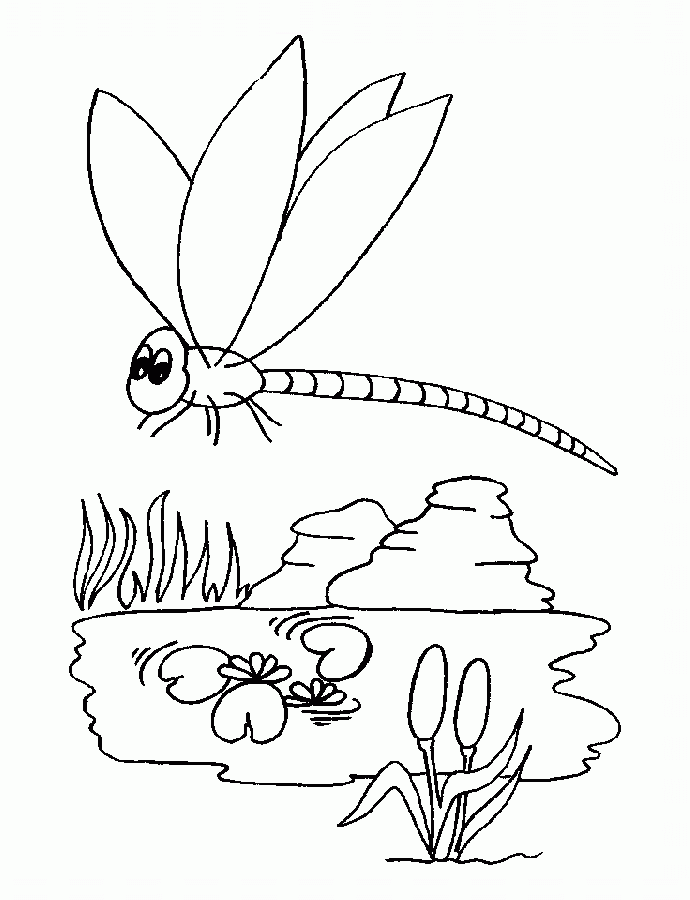 desene de colorat libelula